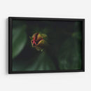 JovenConElDía - Juliana Estrada | Cuadro decorativo de Canvas Lab