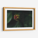 JovenConElDía - Juliana Estrada | Cuadro decorativo de Canvas Lab