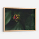 JovenConElDía - Juliana Estrada | Cuadro decorativo de Canvas Lab