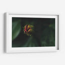 JovenConElDía - Juliana Estrada | Cuadro decorativo de Canvas Lab