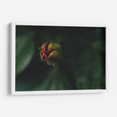 JovenConElDía - Juliana Estrada | Cuadro decorativo de Canvas Lab