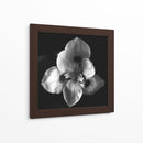 MandalaNatural - Juliana Estrada | Cuadro decorativo de Canvas Lab