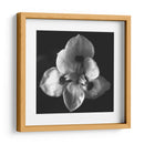 MandalaNatural - Juliana Estrada | Cuadro decorativo de Canvas Lab