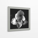 MandalaNatural - Juliana Estrada | Cuadro decorativo de Canvas Lab