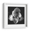 MandalaNatural - Juliana Estrada | Cuadro decorativo de Canvas Lab