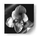 MandalaNatural - Juliana Estrada | Cuadro decorativo de Canvas Lab