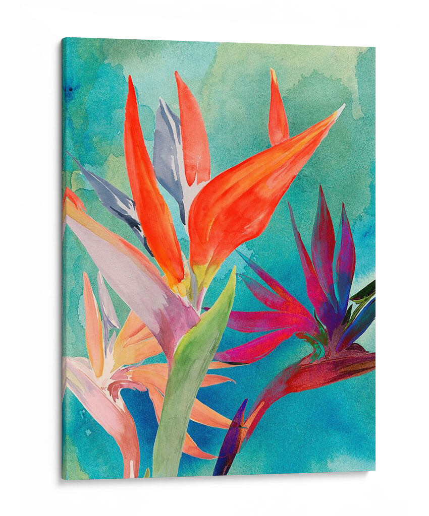 Pájaros Vívidos Del Paraíso I - Jennifer Paxton Parker | Cuadro decorativo de Canvas Lab