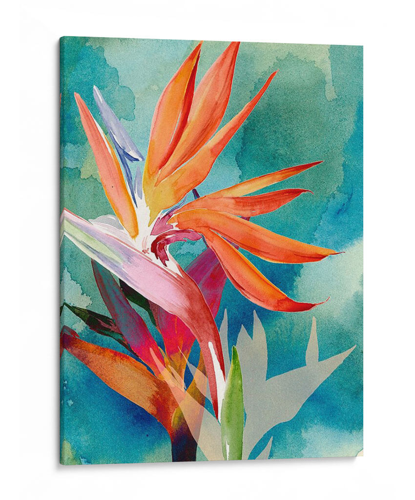 Pájaros Vívidos Del Paraíso Ii - Jennifer Paxton Parker | Cuadro decorativo de Canvas Lab