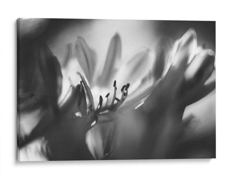 Niebla - Juliana Estrada | Cuadro decorativo de Canvas Lab