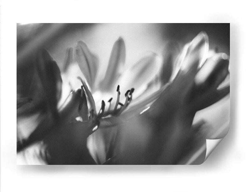 Niebla - Juliana Estrada | Cuadro decorativo de Canvas Lab