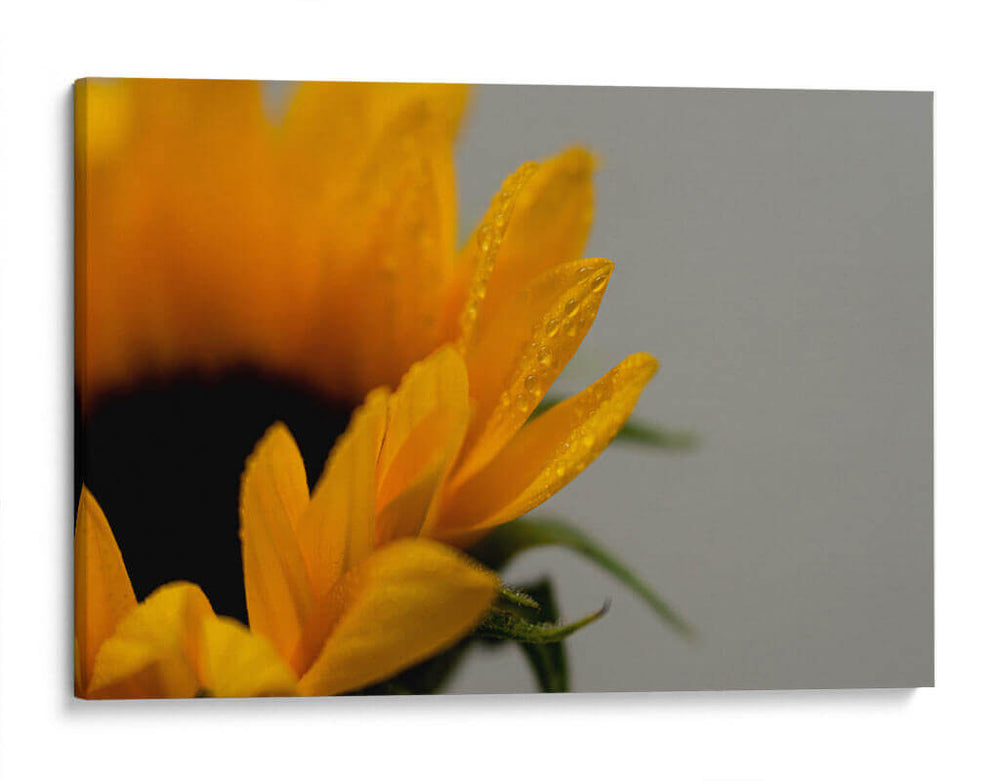 Rocío - Juliana Estrada | Cuadro decorativo de Canvas Lab