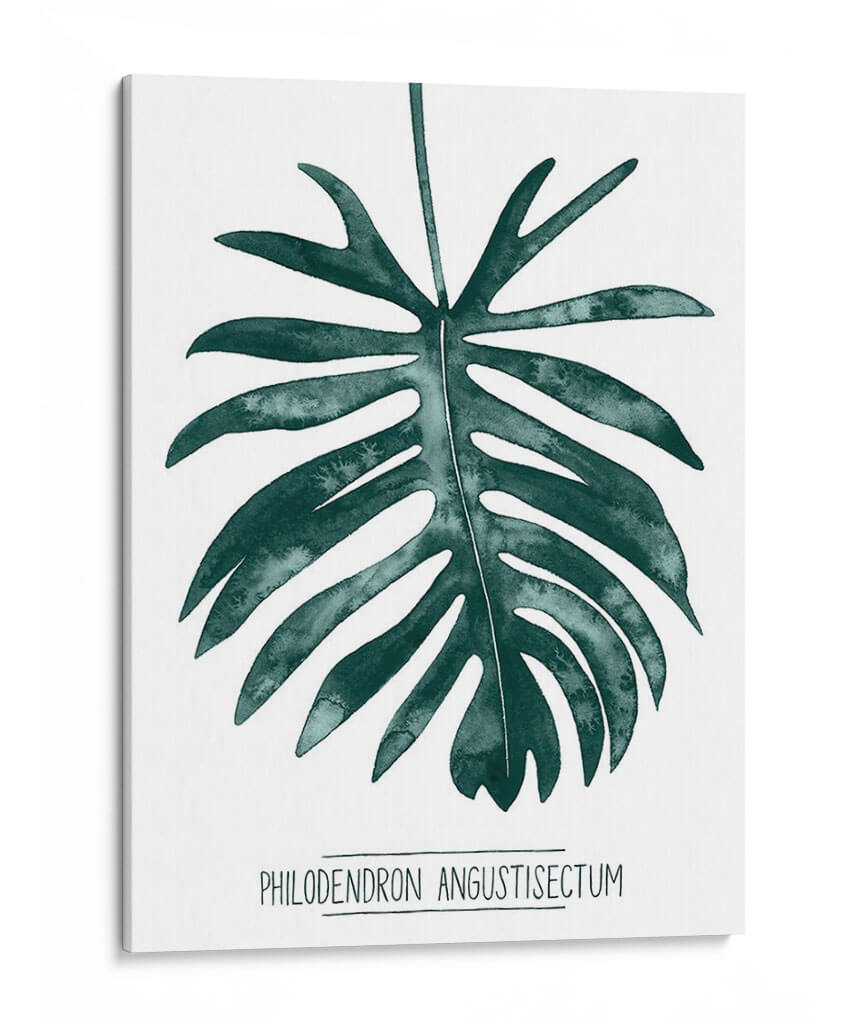 Gemstone Tropicale I - Grace Popp | Cuadro decorativo de Canvas Lab