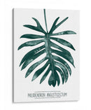 Gemstone Tropicale I - Grace Popp | Cuadro decorativo de Canvas Lab