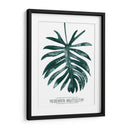 Gemstone Tropicale I - Grace Popp | Cuadro decorativo de Canvas Lab