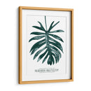 Gemstone Tropicale I - Grace Popp | Cuadro decorativo de Canvas Lab
