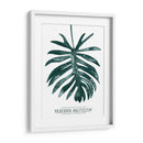 Gemstone Tropicale I - Grace Popp | Cuadro decorativo de Canvas Lab