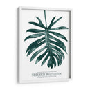 Gemstone Tropicale I - Grace Popp | Cuadro decorativo de Canvas Lab