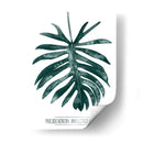 Gemstone Tropicale I - Grace Popp | Cuadro decorativo de Canvas Lab