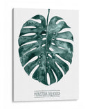 Gemstone Tropicale Ii - Grace Popp | Cuadro decorativo de Canvas Lab