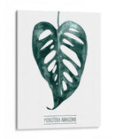 Gemstone Tropicale Iii - Grace Popp | Cuadro decorativo de Canvas Lab