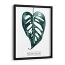 Gemstone Tropicale Iii - Grace Popp | Cuadro decorativo de Canvas Lab