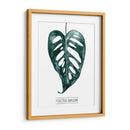 Gemstone Tropicale Iii - Grace Popp | Cuadro decorativo de Canvas Lab
