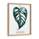 Gemstone Tropicale Iii - Grace Popp | Cuadro decorativo de Canvas Lab