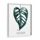 Gemstone Tropicale Iii - Grace Popp | Cuadro decorativo de Canvas Lab