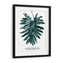 Gemstone Tropicale Iv - Grace Popp | Cuadro decorativo de Canvas Lab