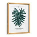 Gemstone Tropicale Iv - Grace Popp | Cuadro decorativo de Canvas Lab
