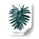 Gemstone Tropicale Iv - Grace Popp | Cuadro decorativo de Canvas Lab