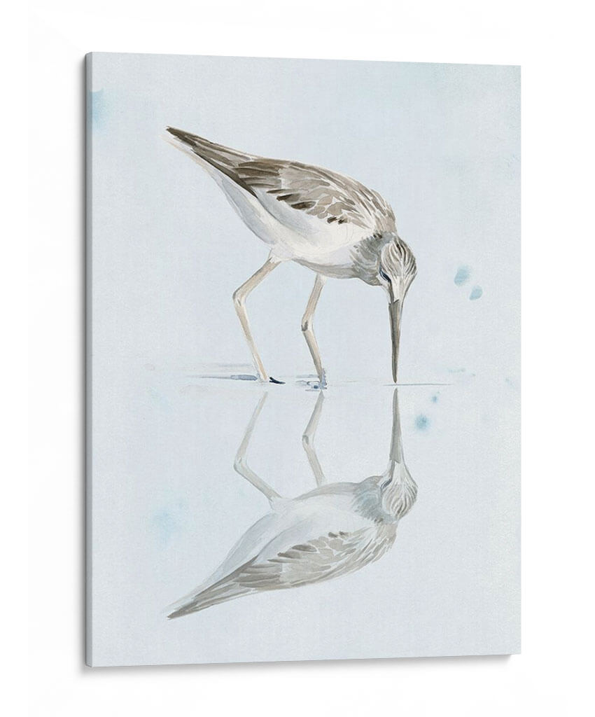 Sandpiper Reflexiones I - Jennifer Paxton Parker | Cuadro decorativo de Canvas Lab
