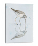 Sandpiper Reflexiones I - Jennifer Paxton Parker | Cuadro decorativo de Canvas Lab