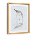 Sandpiper Reflexiones I - Jennifer Paxton Parker | Cuadro decorativo de Canvas Lab