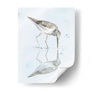Sandpiper Reflexiones I - Jennifer Paxton Parker | Cuadro decorativo de Canvas Lab