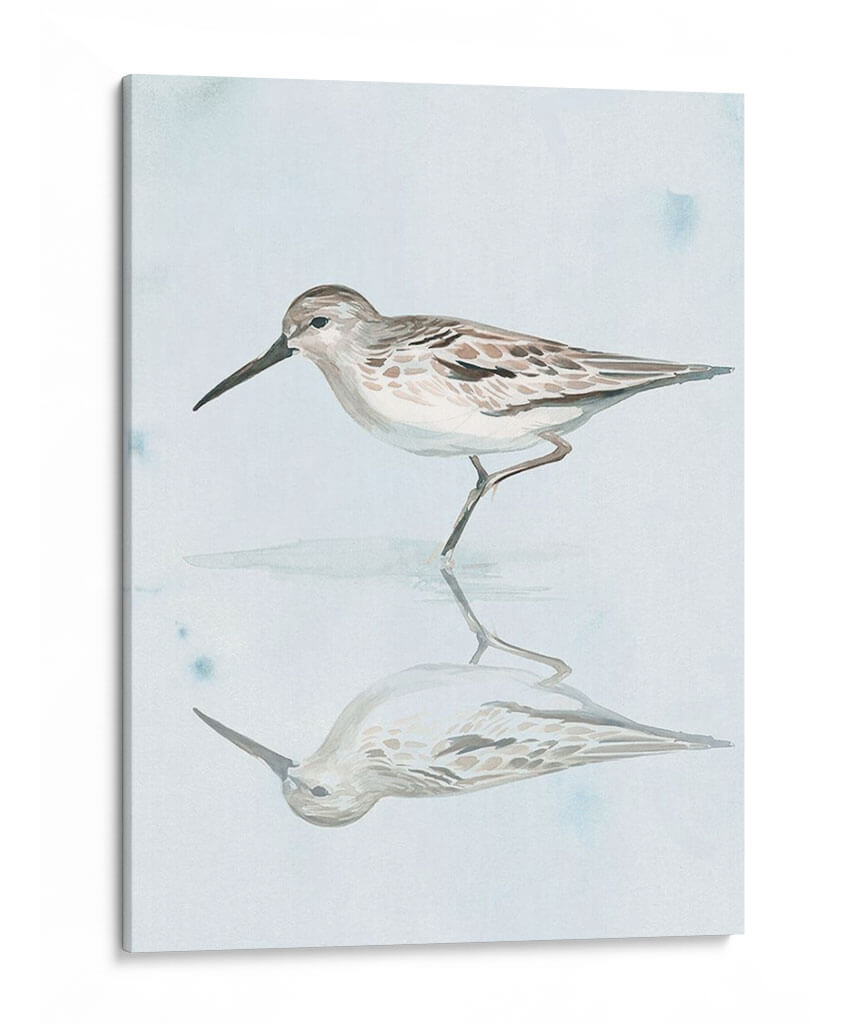 Sandpiper Reflexiones Ii - Jennifer Paxton Parker | Cuadro decorativo de Canvas Lab