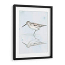 Sandpiper Reflexiones Ii - Jennifer Paxton Parker | Cuadro decorativo de Canvas Lab