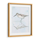 Sandpiper Reflexiones Ii - Jennifer Paxton Parker | Cuadro decorativo de Canvas Lab