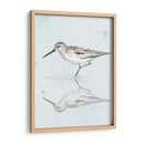 Sandpiper Reflexiones Ii - Jennifer Paxton Parker | Cuadro decorativo de Canvas Lab