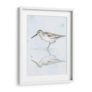 Sandpiper Reflexiones Ii - Jennifer Paxton Parker | Cuadro decorativo de Canvas Lab