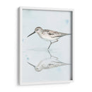 Sandpiper Reflexiones Ii - Jennifer Paxton Parker | Cuadro decorativo de Canvas Lab