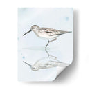 Sandpiper Reflexiones Ii - Jennifer Paxton Parker | Cuadro decorativo de Canvas Lab