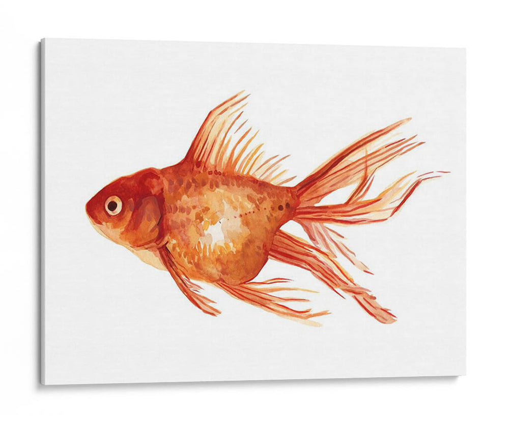 Peces De Colores Ornamentales I - Emma Scarvey | Cuadro decorativo de Canvas Lab