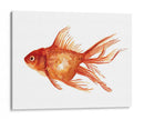 Peces De Colores Ornamentales I - Emma Scarvey | Cuadro decorativo de Canvas Lab
