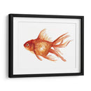 Peces De Colores Ornamentales I - Emma Scarvey | Cuadro decorativo de Canvas Lab