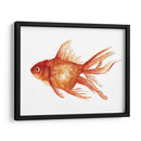Peces De Colores Ornamentales I - Emma Scarvey | Cuadro decorativo de Canvas Lab
