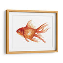 Peces De Colores Ornamentales I - Emma Scarvey | Cuadro decorativo de Canvas Lab
