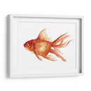 Peces De Colores Ornamentales I - Emma Scarvey | Cuadro decorativo de Canvas Lab