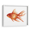 Peces De Colores Ornamentales I - Emma Scarvey | Cuadro decorativo de Canvas Lab