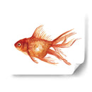 Peces De Colores Ornamentales I - Emma Scarvey | Cuadro decorativo de Canvas Lab